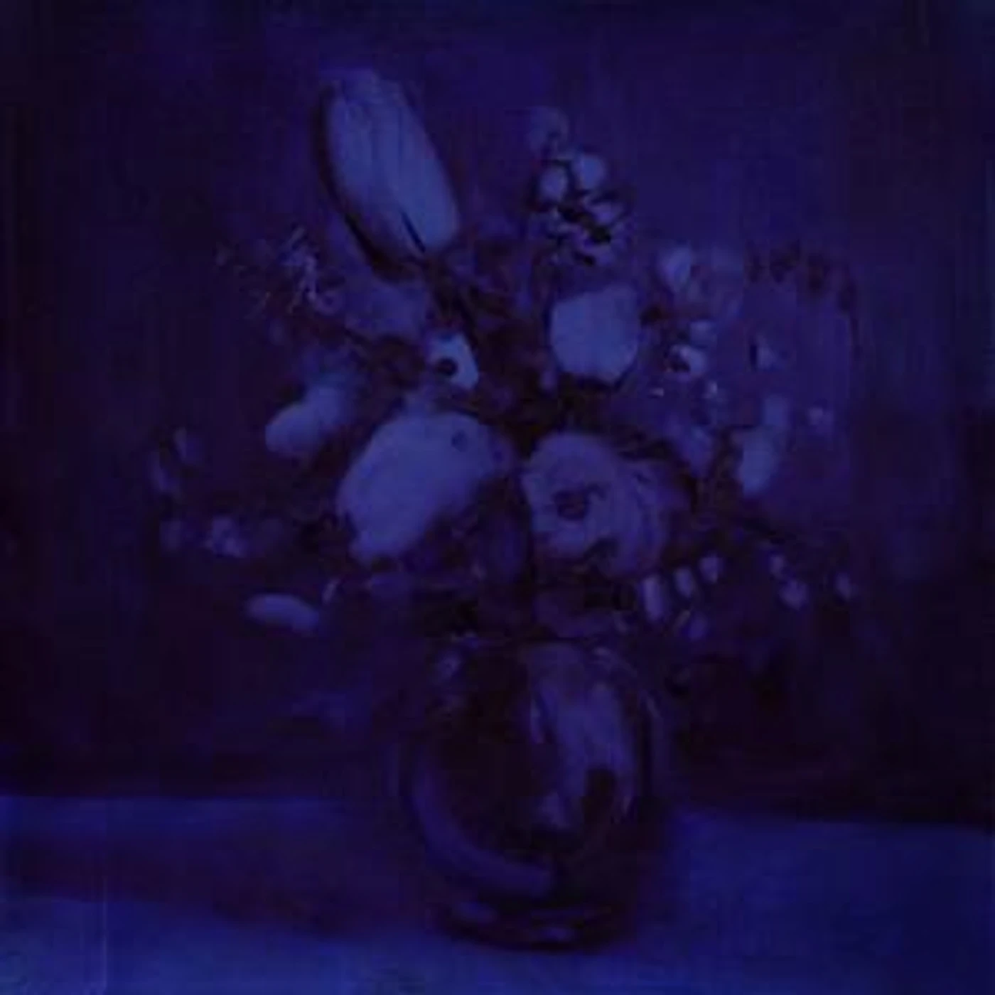 Deaf Wish Lithium Zion Vinyl Record