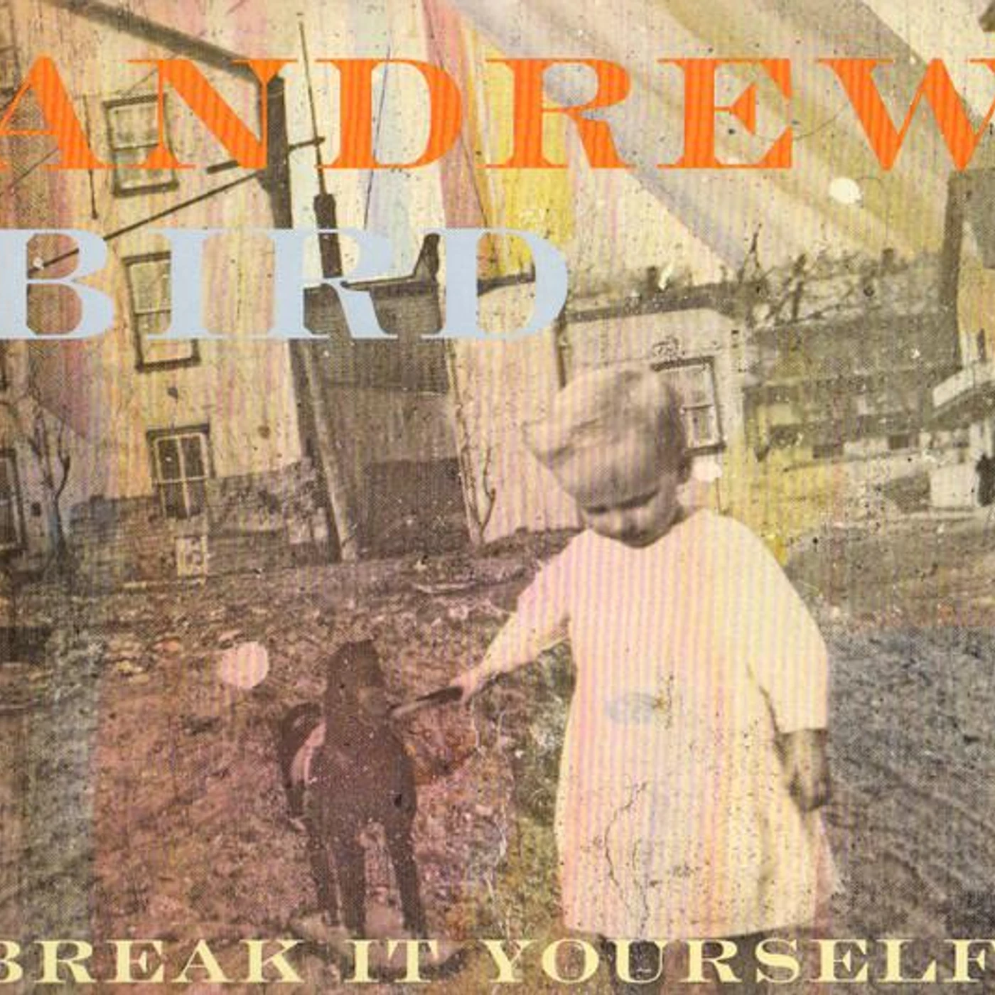 Andrew Bird BREAK IT YOURSELF CD