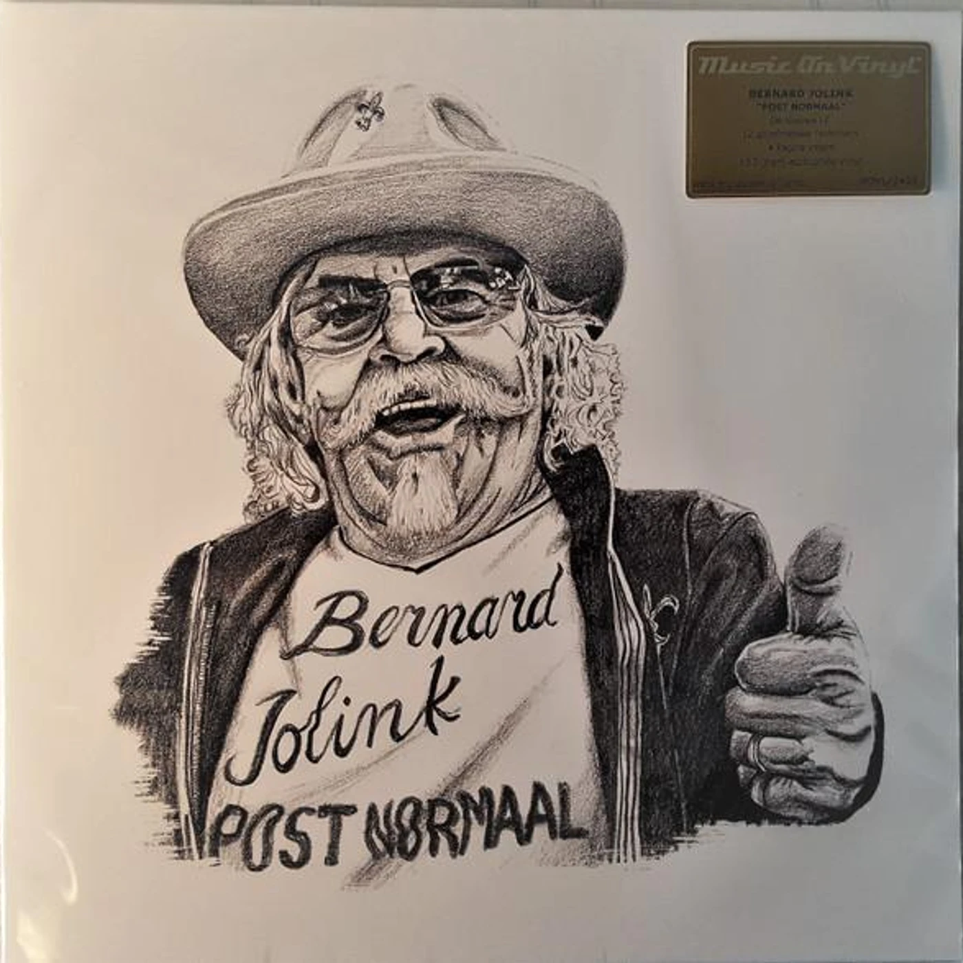 Bernard Jolink POST NORMAAL Vinyl Record