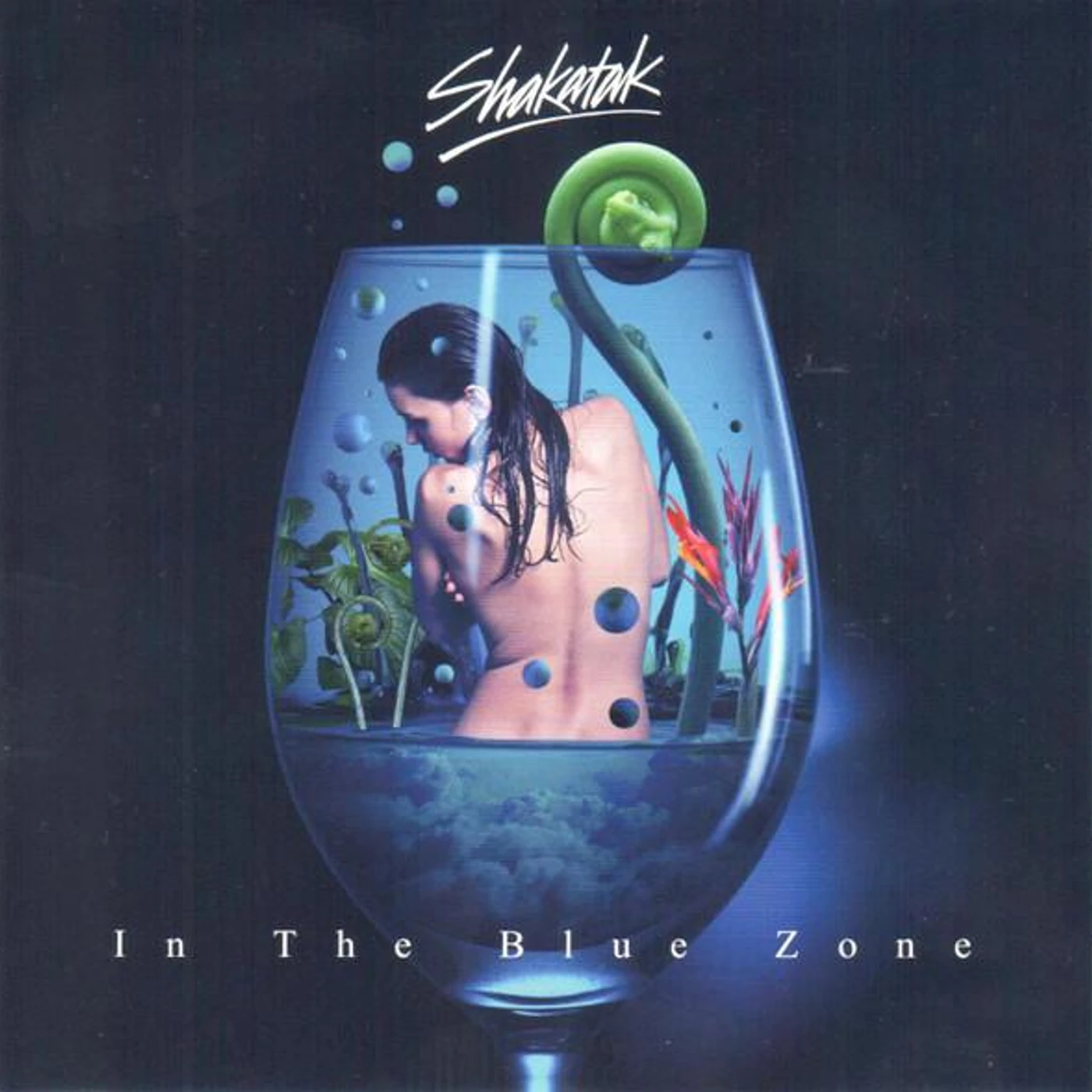 Shakatak IN THE BLUE ZONE (K2HD/HQCD) CD