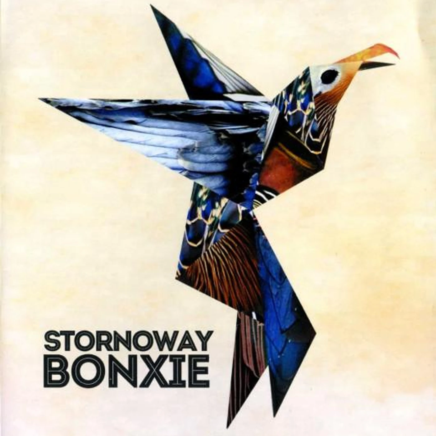 Stornoway BONXIE CD