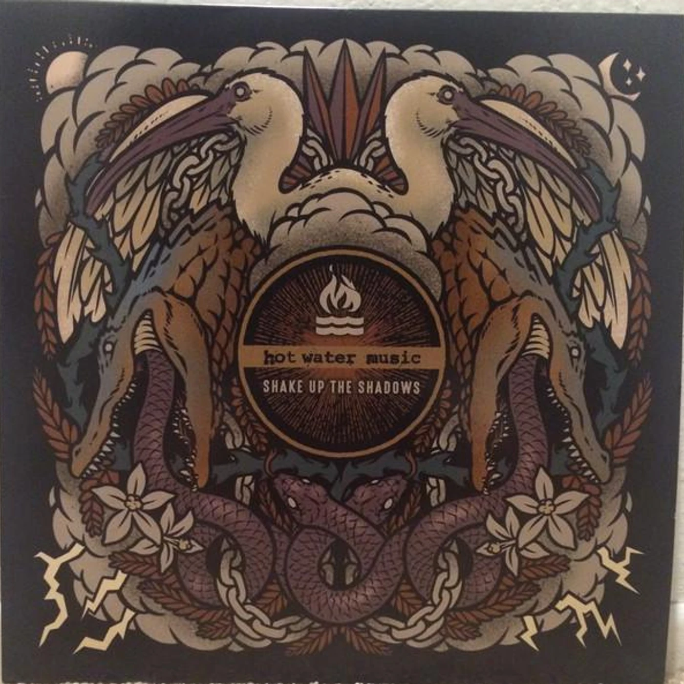 Hot Water Music Shake Up The Shadows Vinyl Record