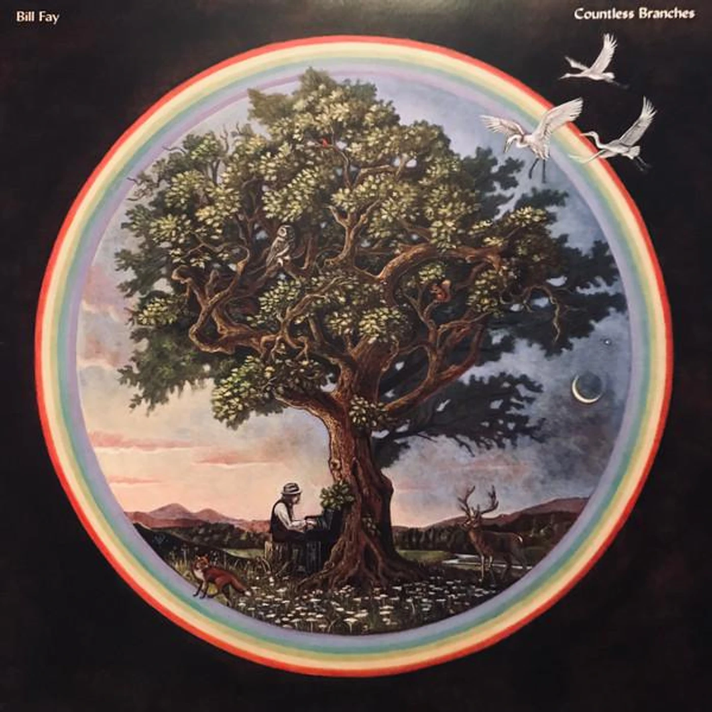 Bill Fay Countless Branches (Deluxe Edition) Vinyl Record