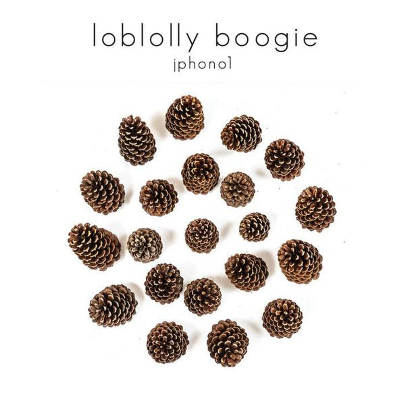 Jphono1 LOBLOLLY BOOGIE CD