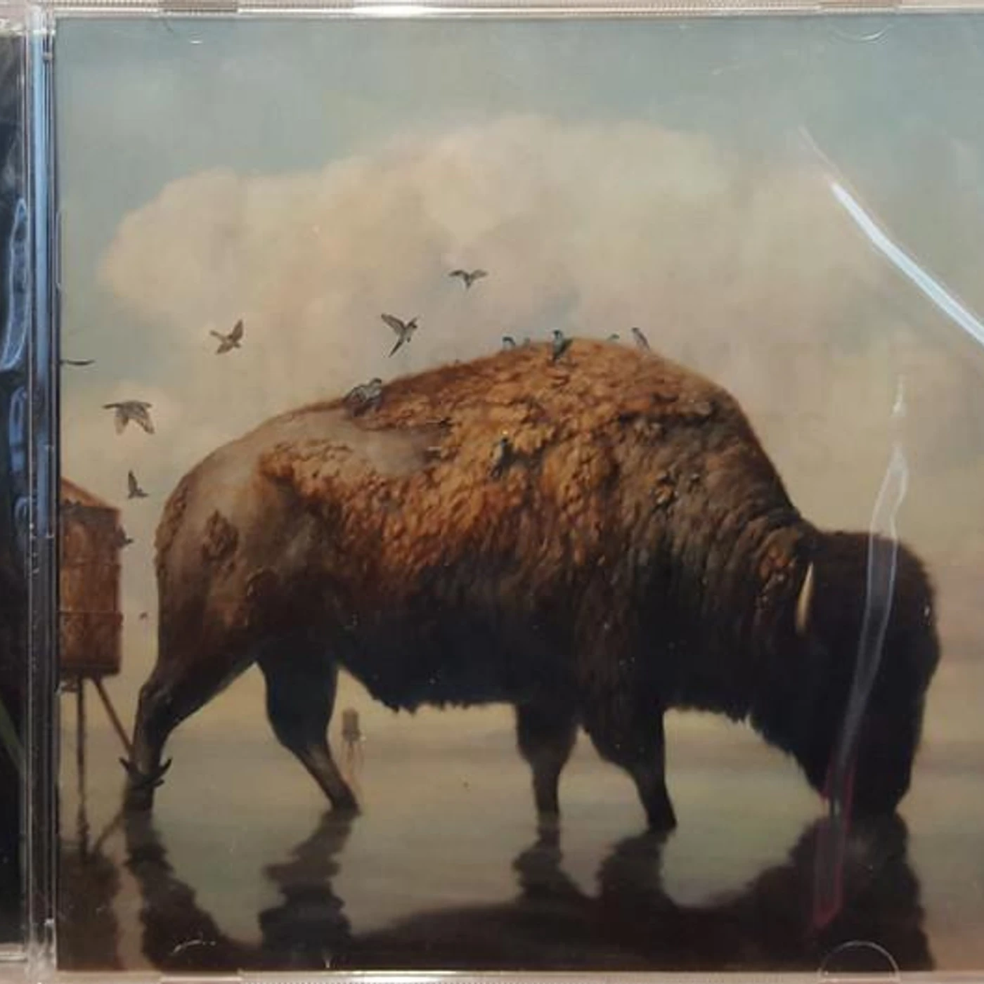 Silverstein THIS IS HOW THE WIND CD