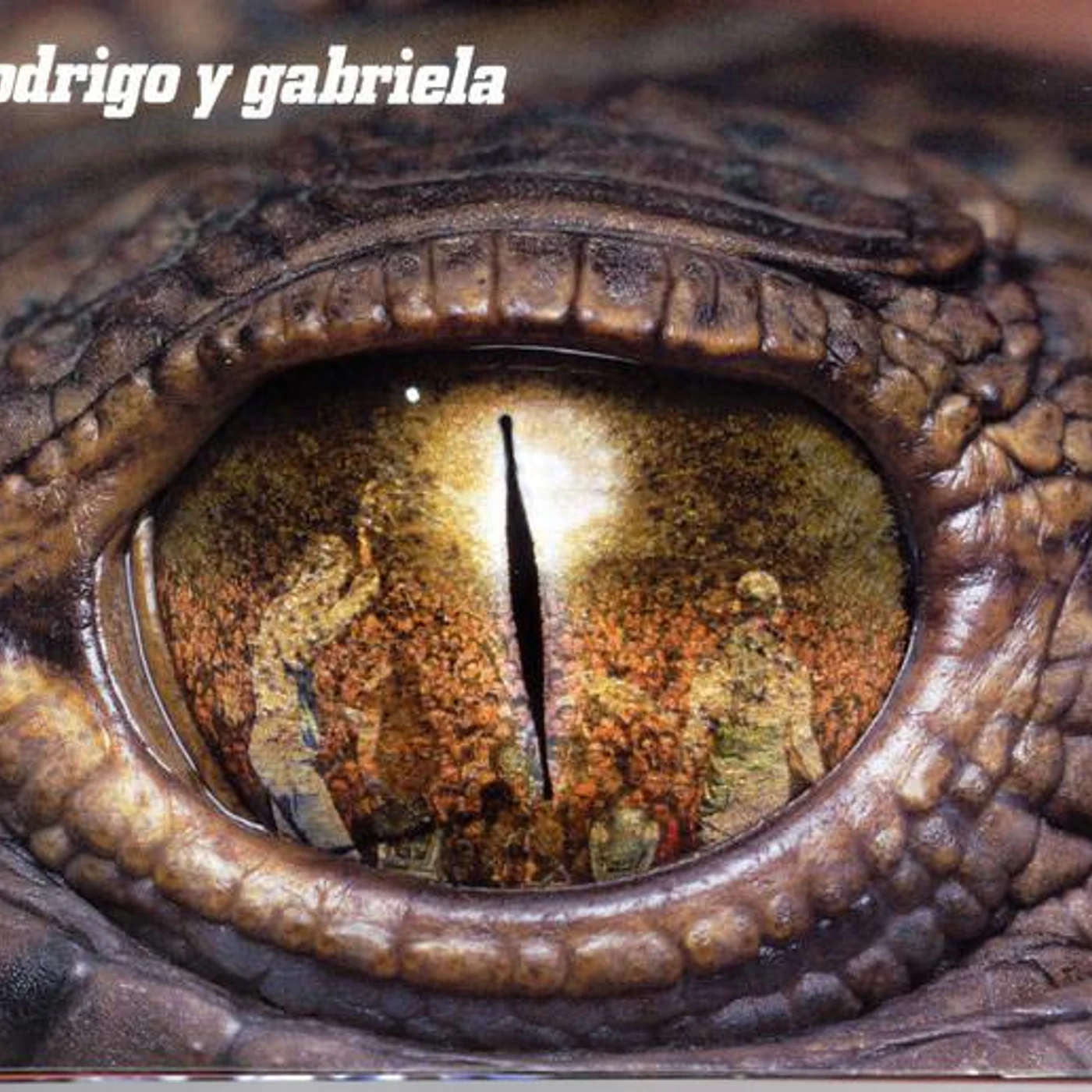 RODRIGO Y GABRIELA (2CD/DVD) (DELUXE EDITION) CD