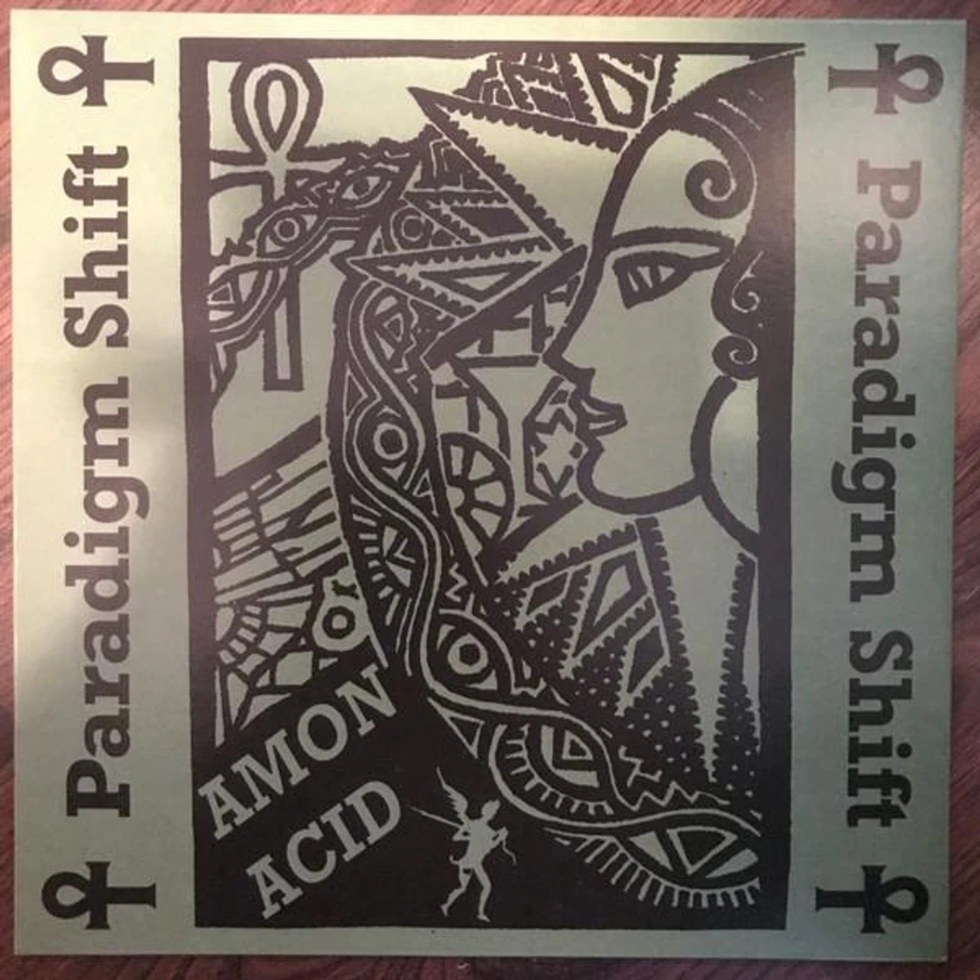Amon Acid PARADIGM SHIFT Vinyl Record