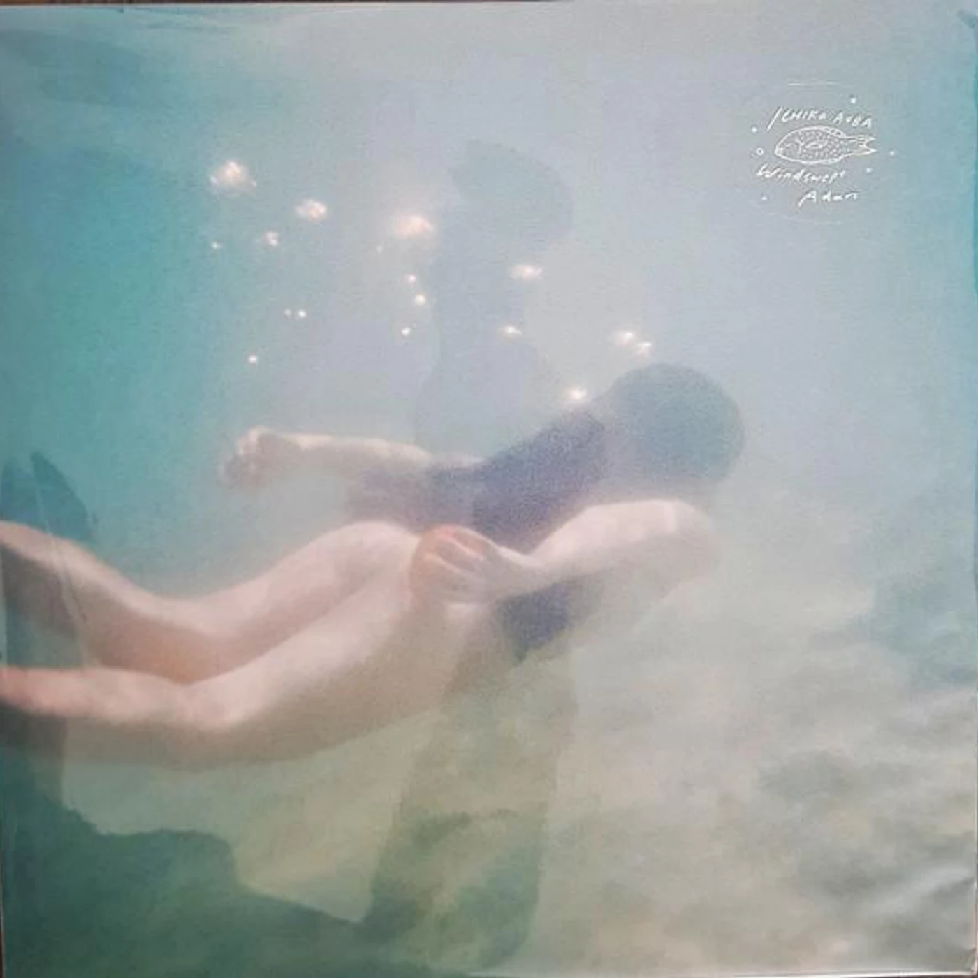 Ichiko Aoba WINDSWEPT ADAN (IMPORT) Vinyl Record
