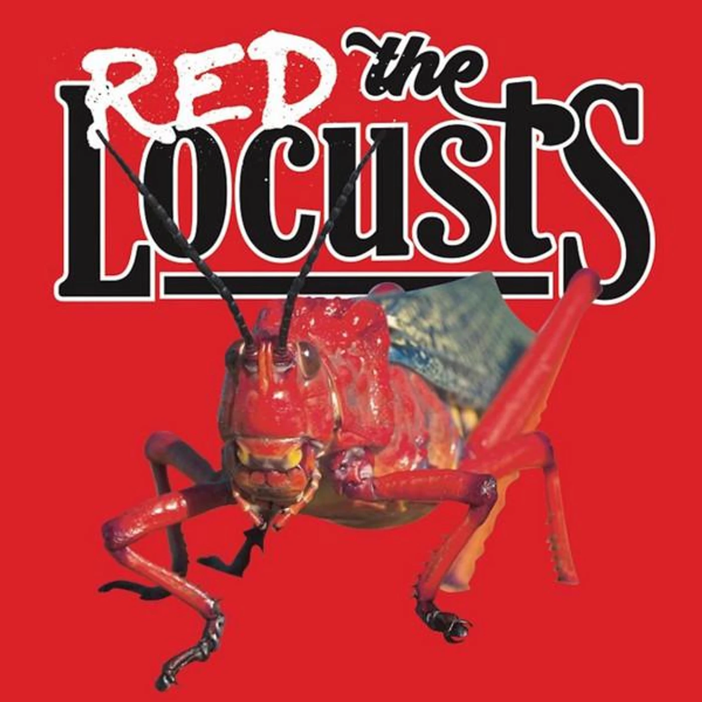 The Red Locusts CD