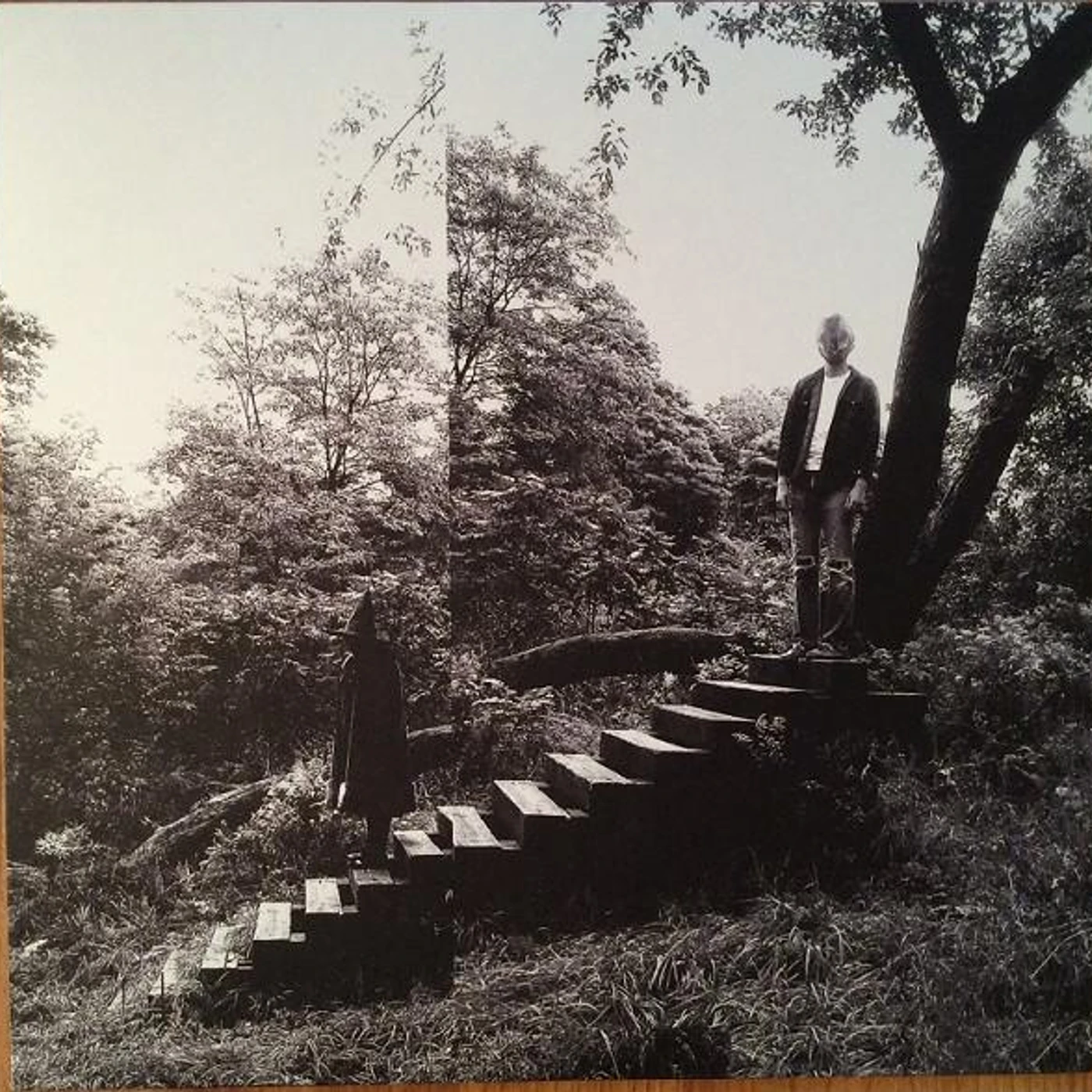 Timber Timbre Vinyl Record