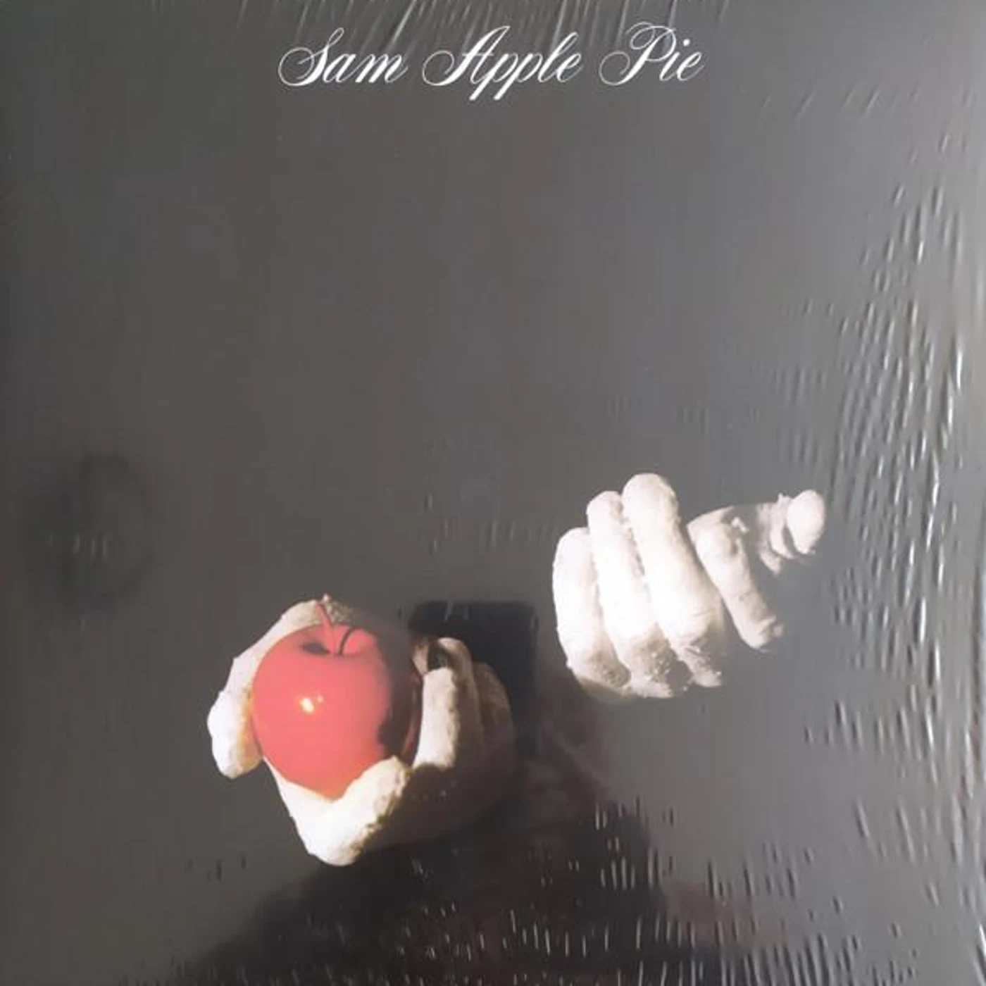 SAM APPLE PIE Vinyl Record
