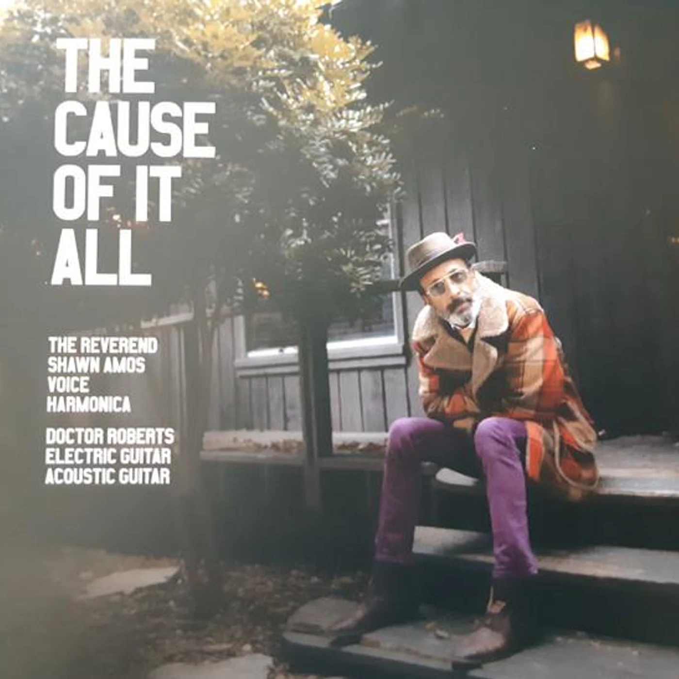 The Reverend Shawn Amos CAUSE OF IT ALL CD