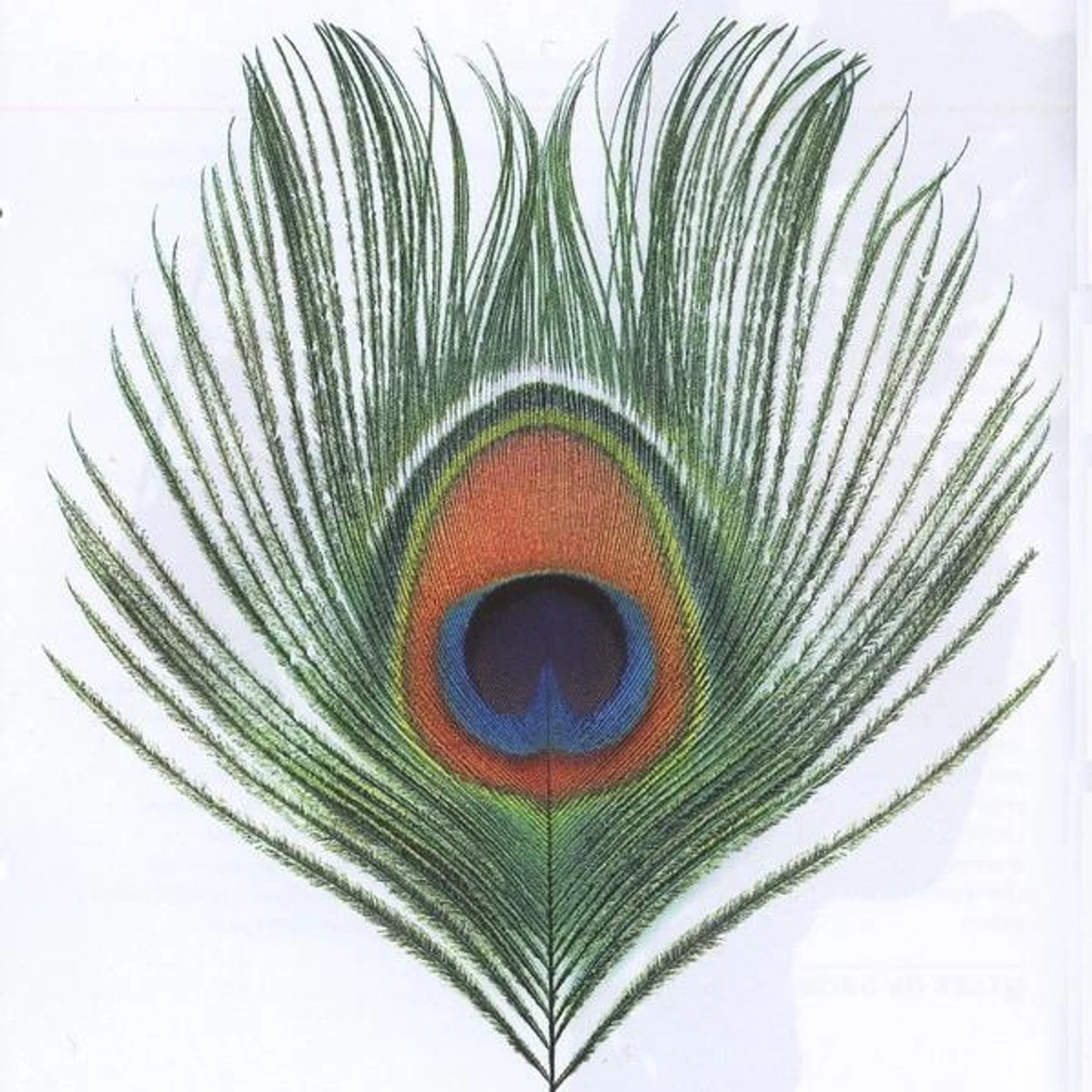 XTC APPLE VENUS VOL. 1 CD