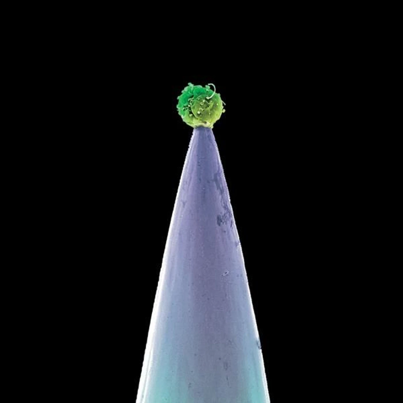 Peter Gabriel NEW BLOOD CD