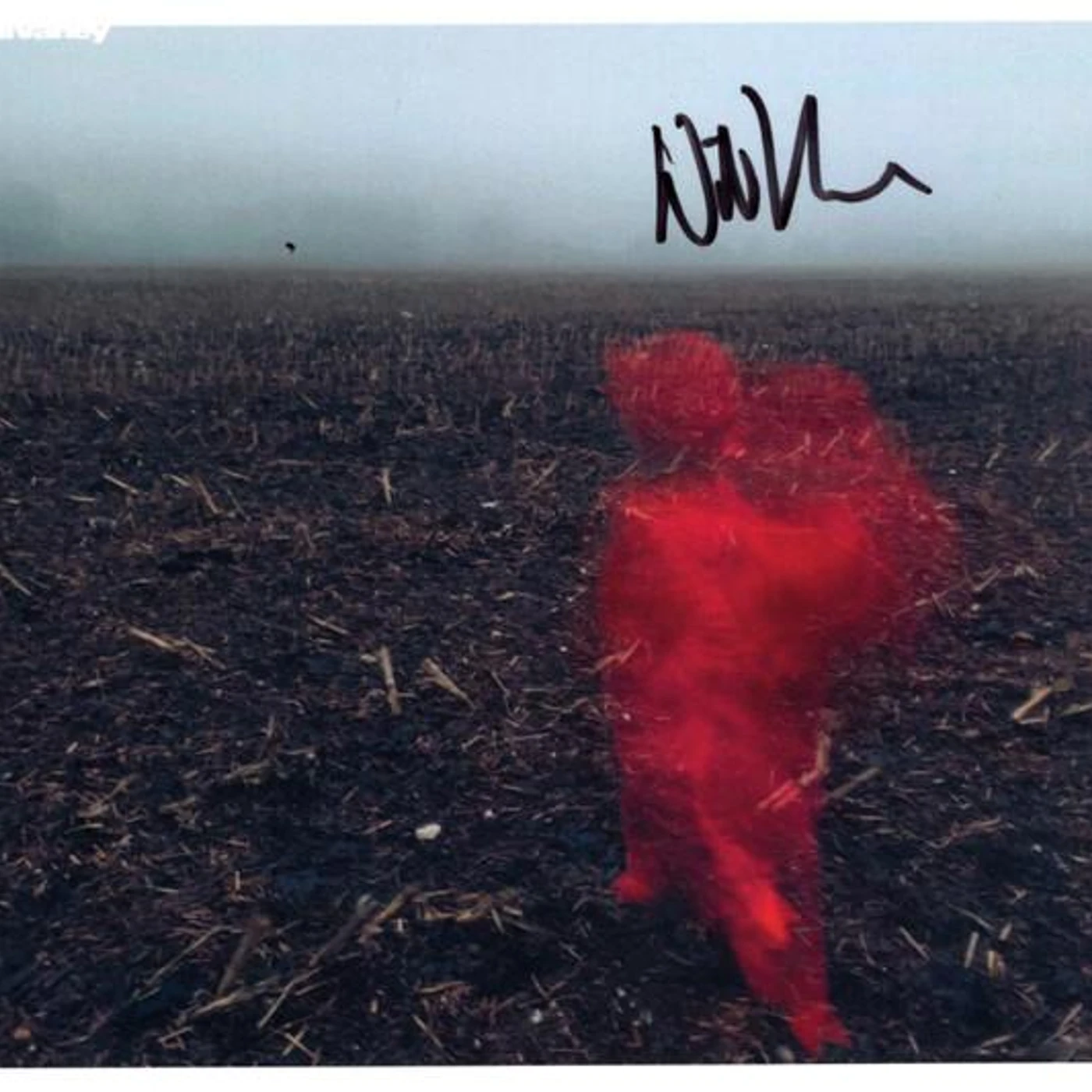 Will Varley HOLE AROUND MY HEAD CD