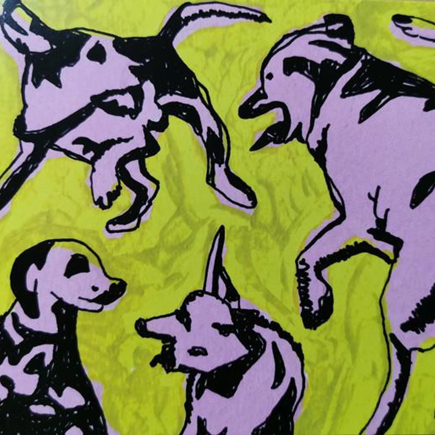Paul Jacobs PINK DOGS ON THE GREEN GRASS CD