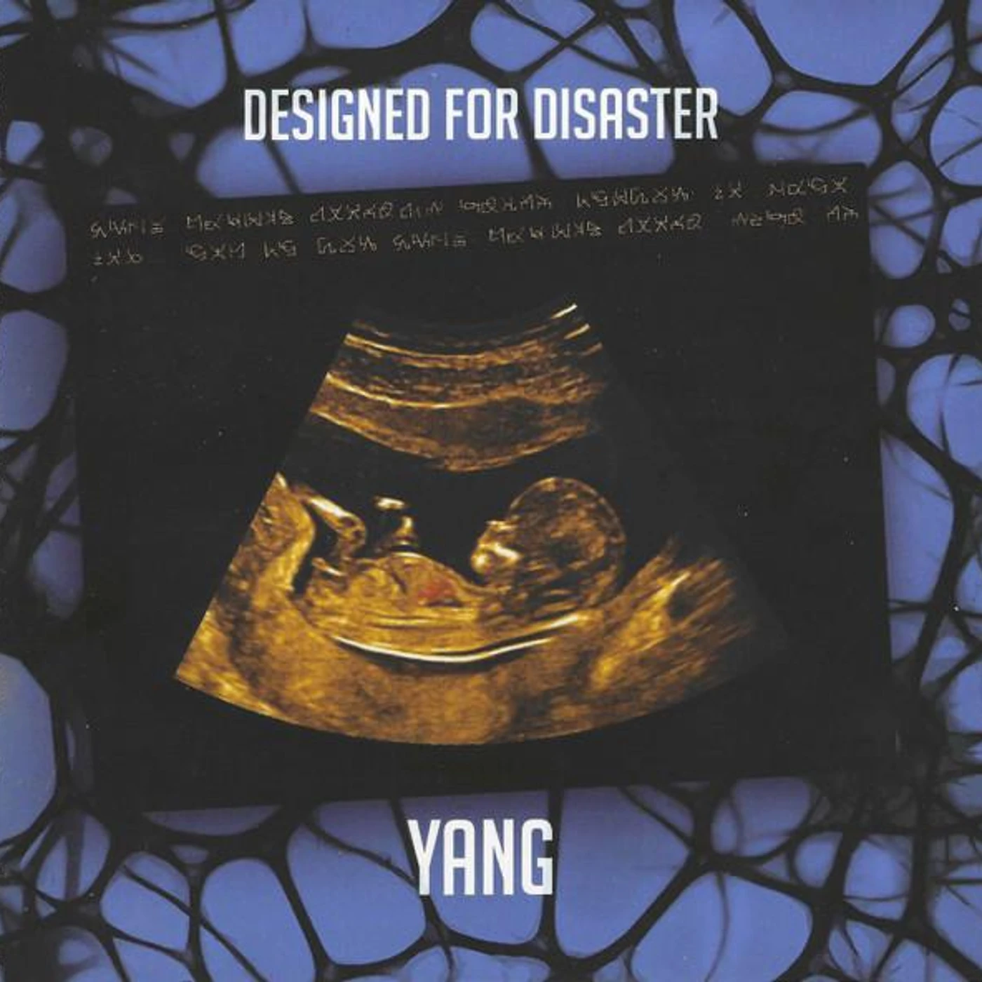 Yang DESIGNED FOR DISASTER CD