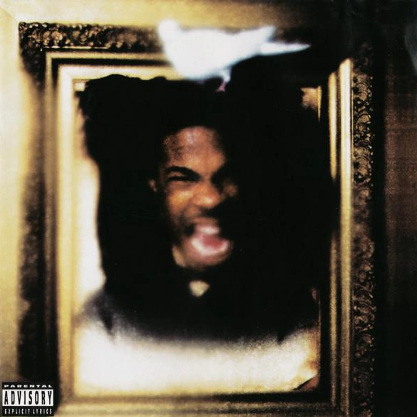 Busta Rhymes COMING CD