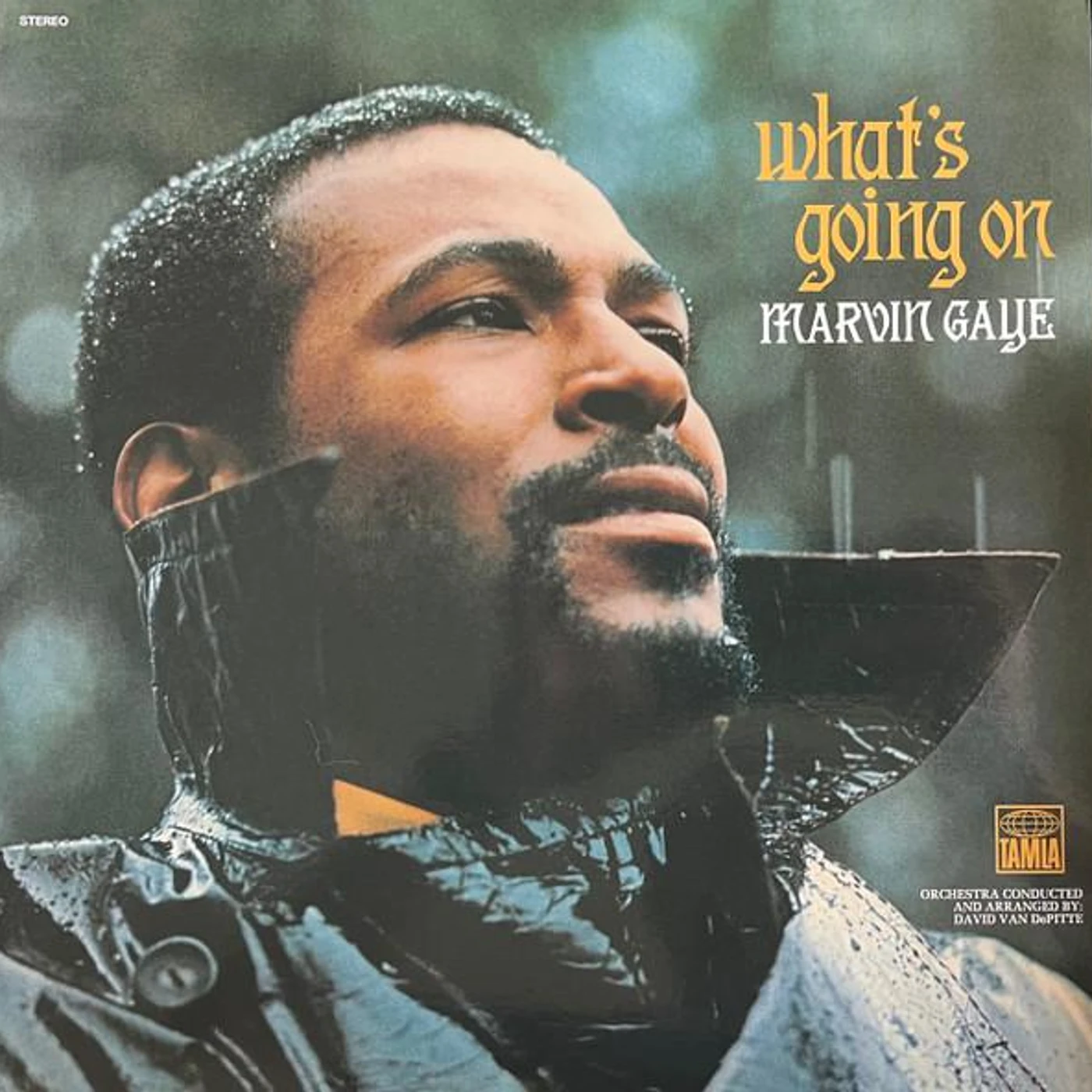 Marvin Gaye What's Going On (50Th Anniversary Deluxe/180G/2Lp) Vinyl Record