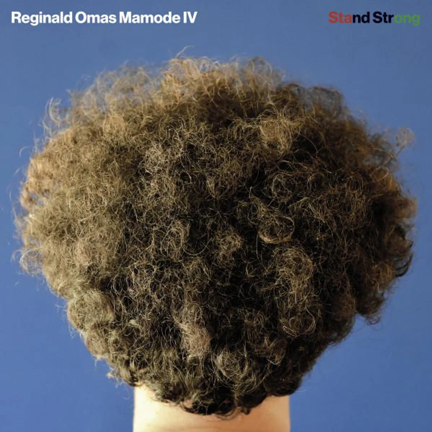 Reginald Omas Mamode IV STAND STRONG Vinyl Record
