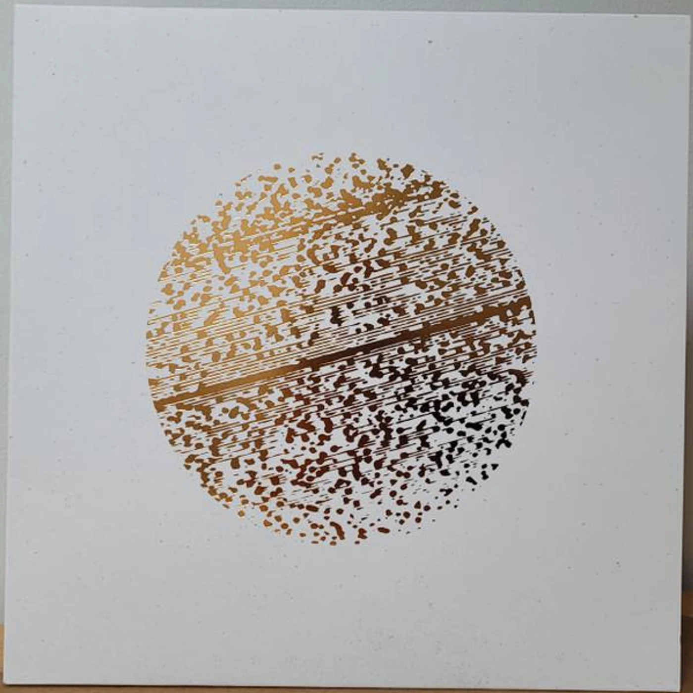 Gathering BEAUTIFUL DISTORTION Vinyl Record