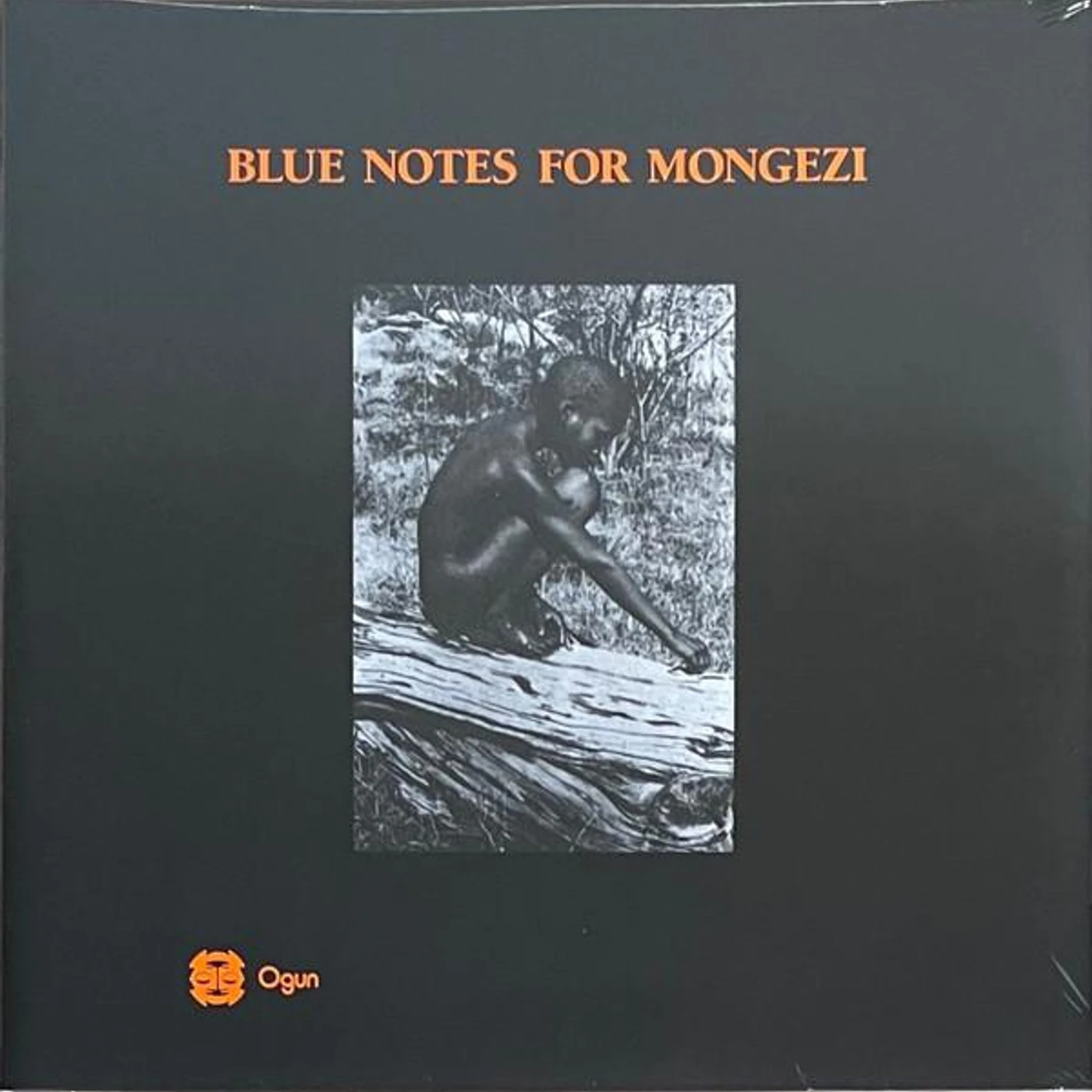 The Blue Notes FOR MONGEZI Vinyl Record