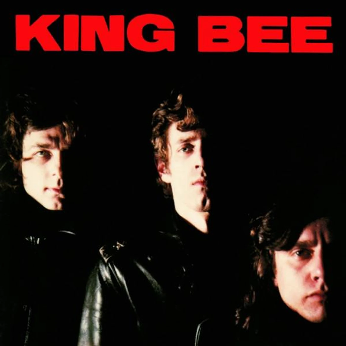  King Bee S/T Vinyl Record