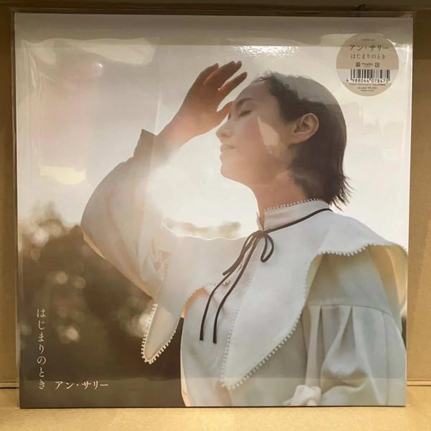 Ann Sally WHEN IT STARTS Vinyl Record