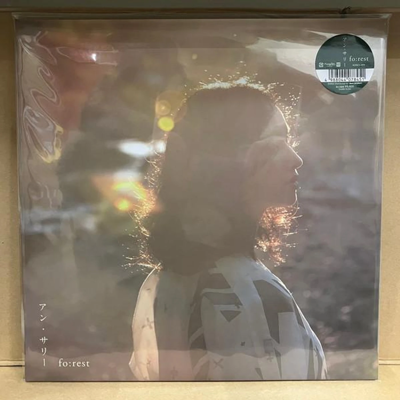 Ann Sally FO:REST Vinyl Record