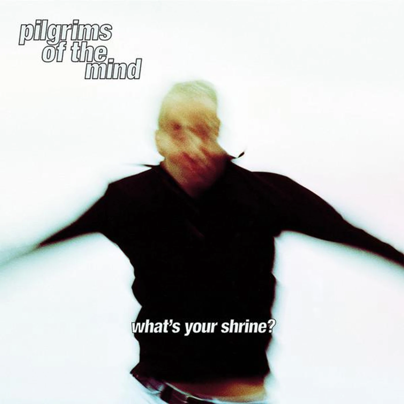 Pilgrims Of The Mind What's Your Shrine? Vinyl Record
