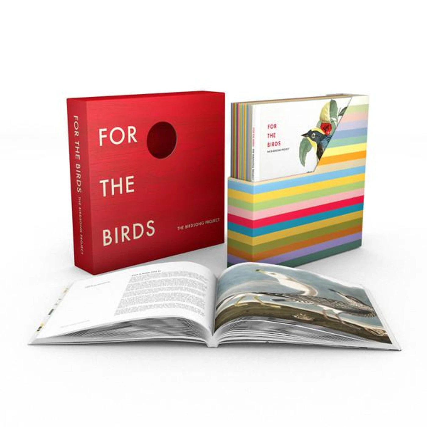 Bird Song Project FOR THE BIRDS: THE BIRDSONG PROJECT Vinyl Record