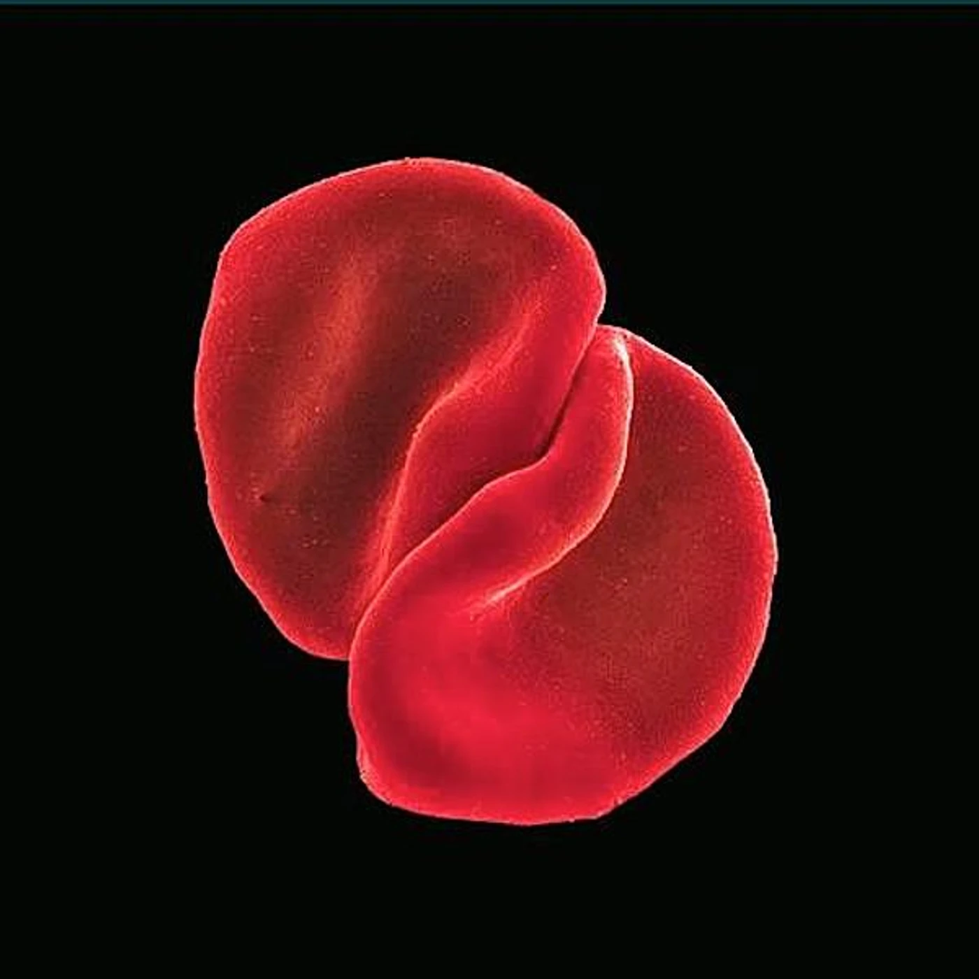 Peter Gabriel SCRATCH MY BACK CD