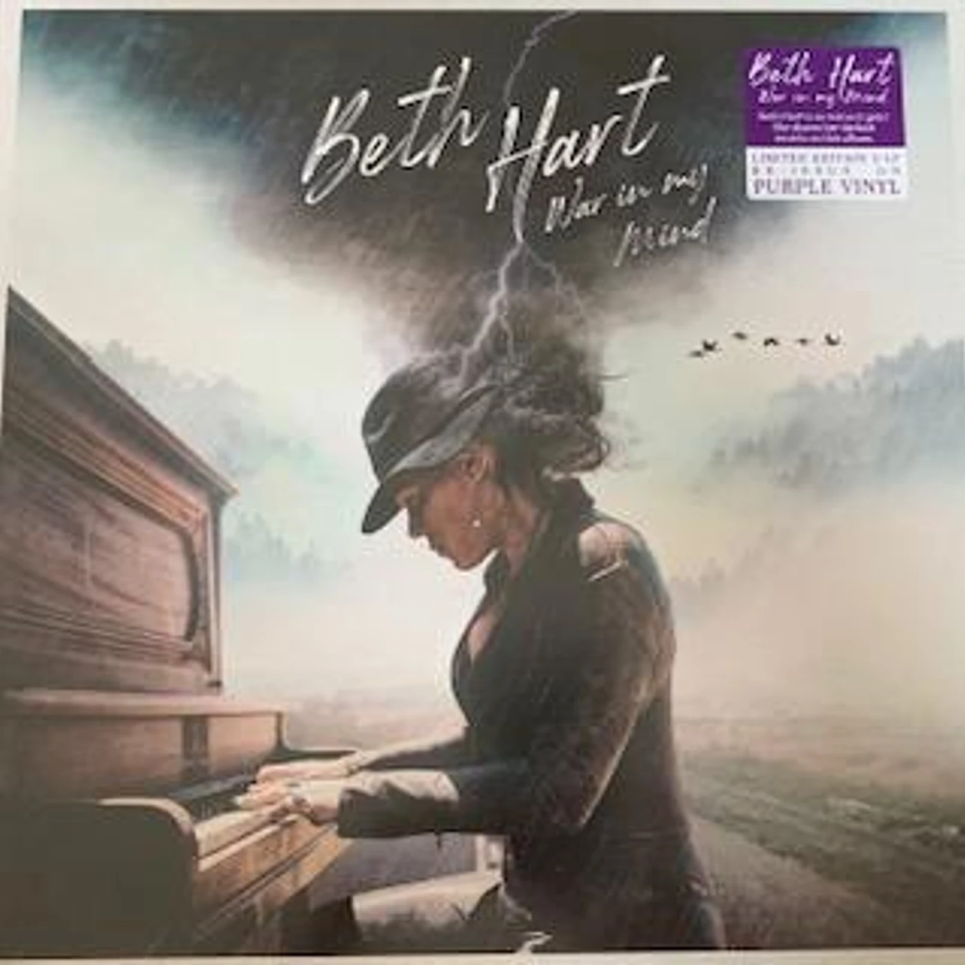 Beth Hart WAR IN MY MIND (2LP) Vinyl Record