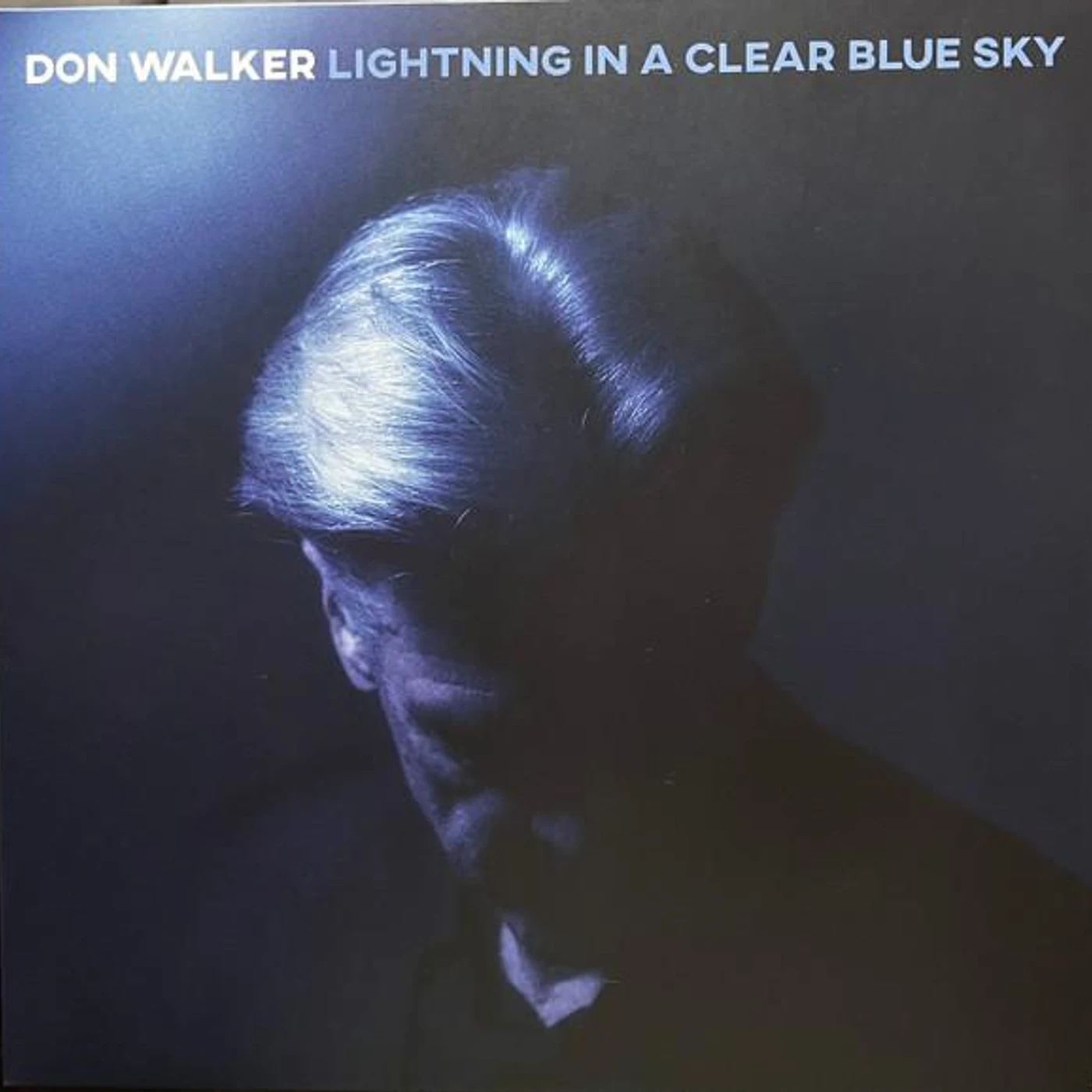 Don Walker LIGHTNING IN A CLEAR BLUE SKY Vinyl Record