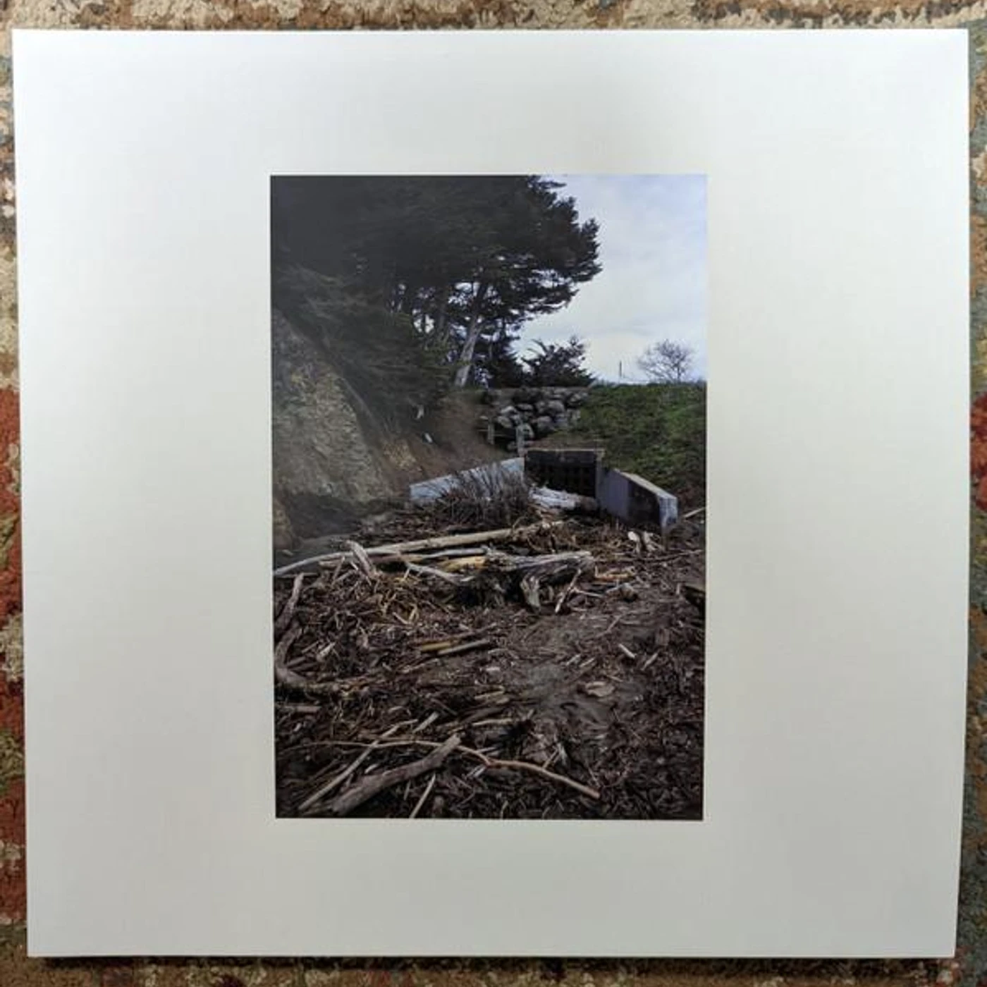 Mac DeMarco FIVE EASY HOT DOGS Vinyl Record