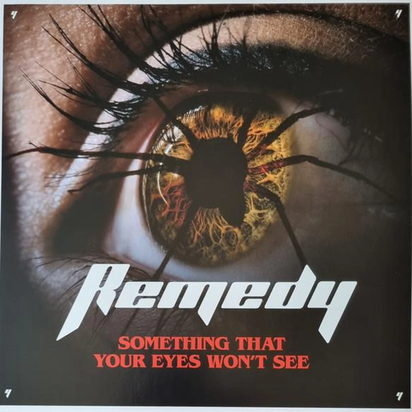 Remedy SOMETHING THAT YOUR EYES WON'T SEE Vinyl Record