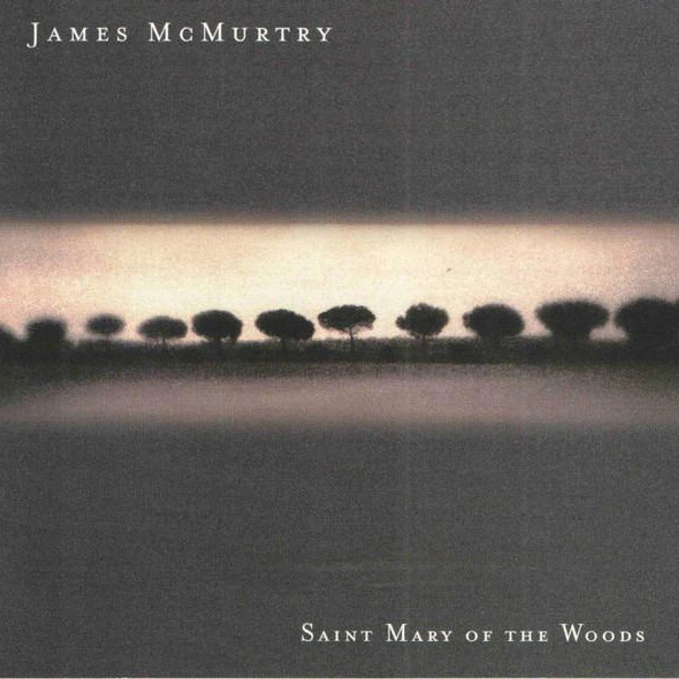 James McMurtry SAINT MARY OF WOODS CD