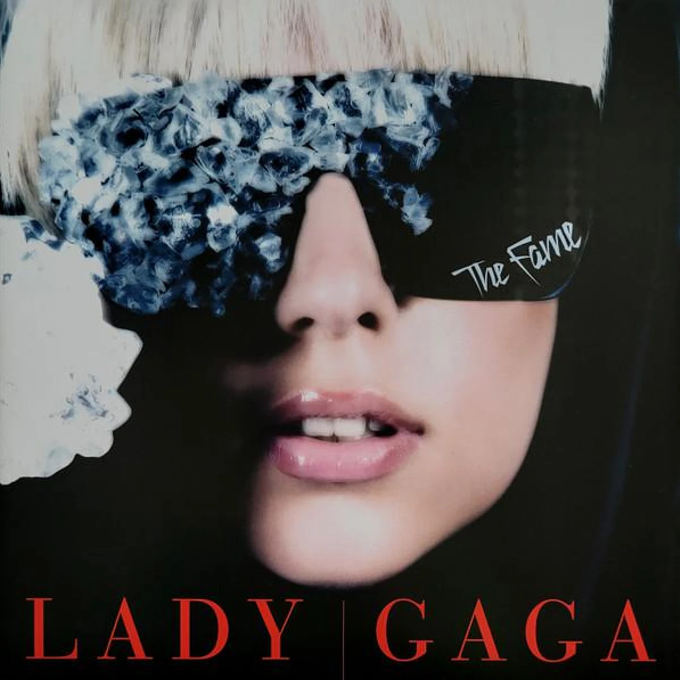 Lady Gaga FAME Vinyl Record