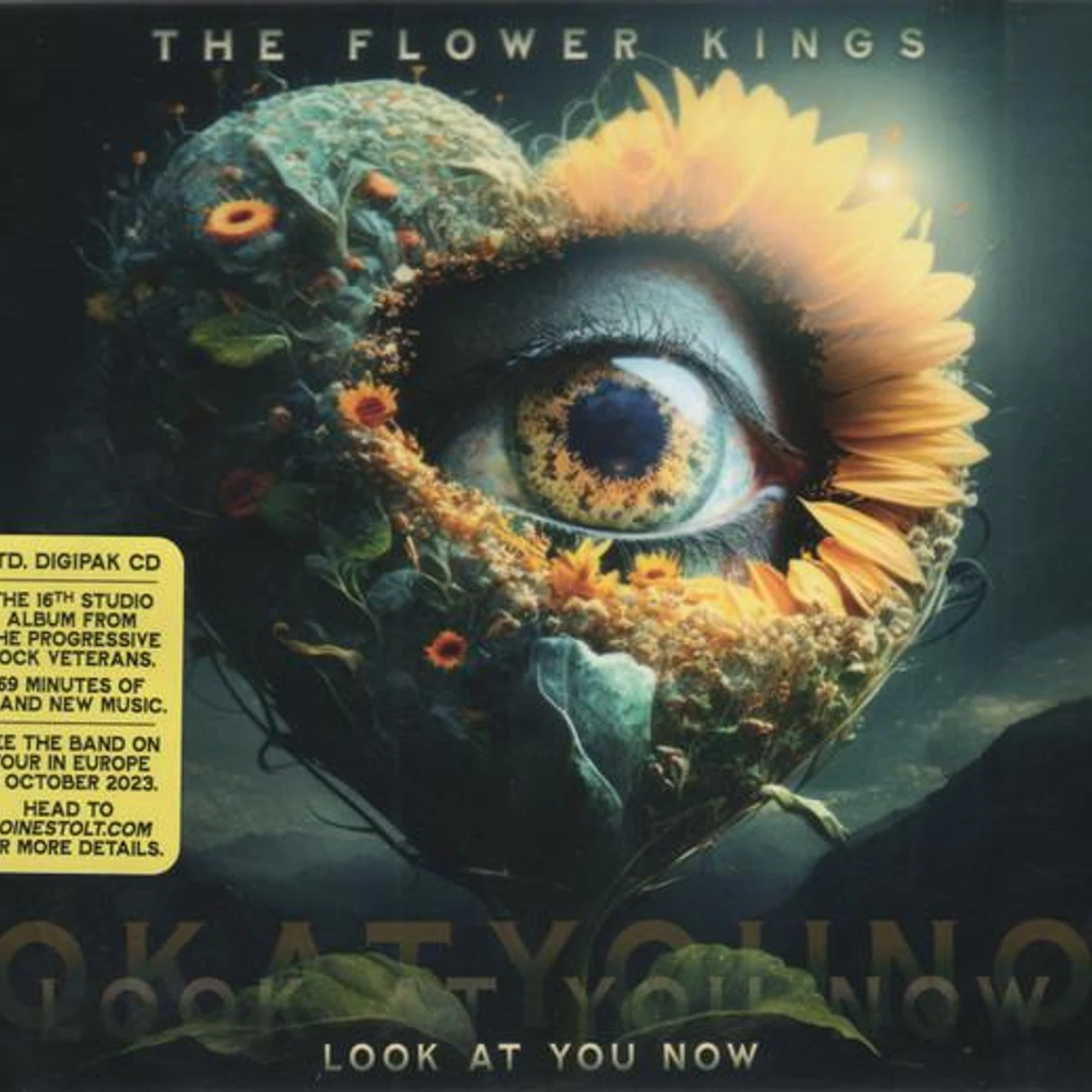 The Flower Kings LOOK AT YOU NOW CD