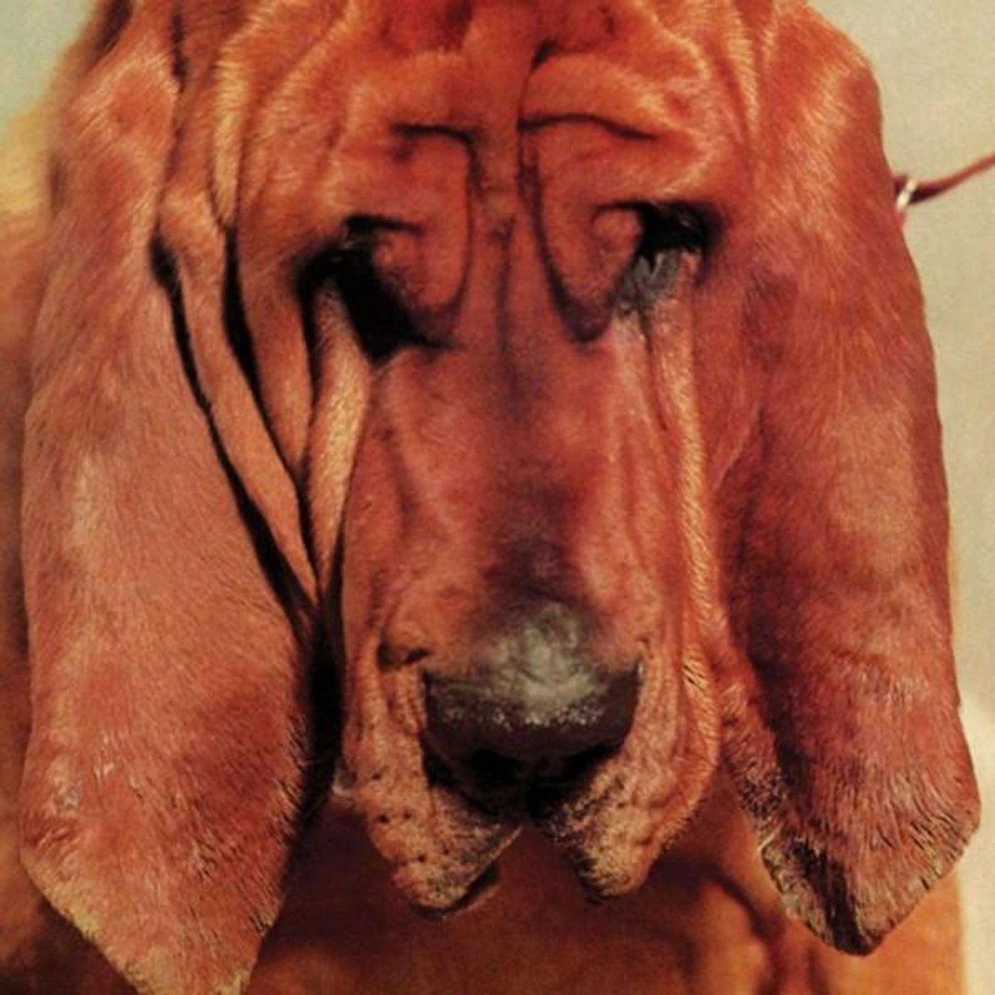 Ty Segall Goodbye Bread Vinyl Record
