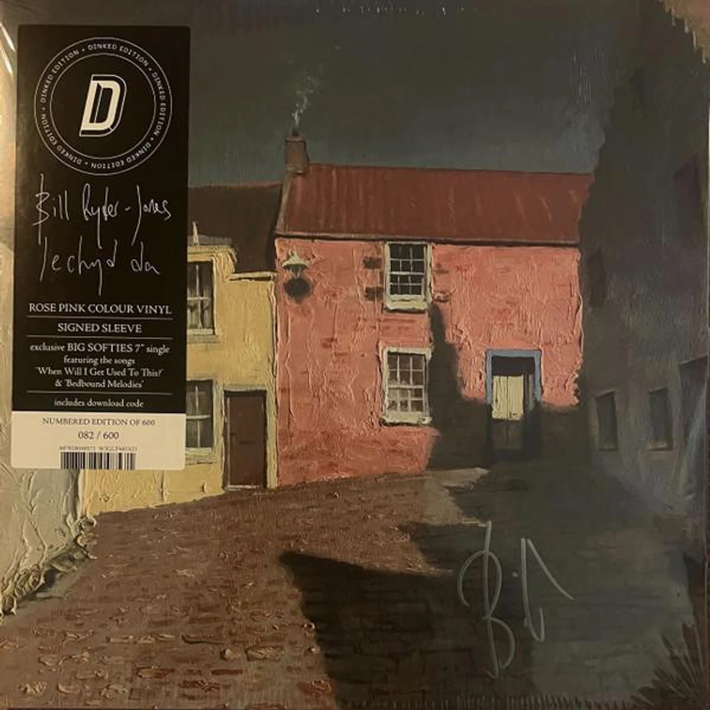 Bill Ryder-Jones IECHYD DA Vinyl Record