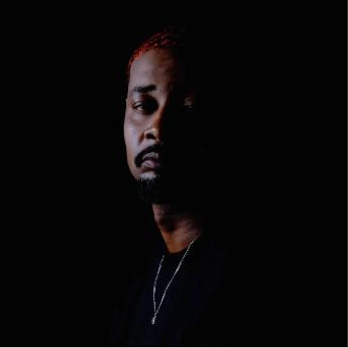 Danny Brown QUARANTA CD