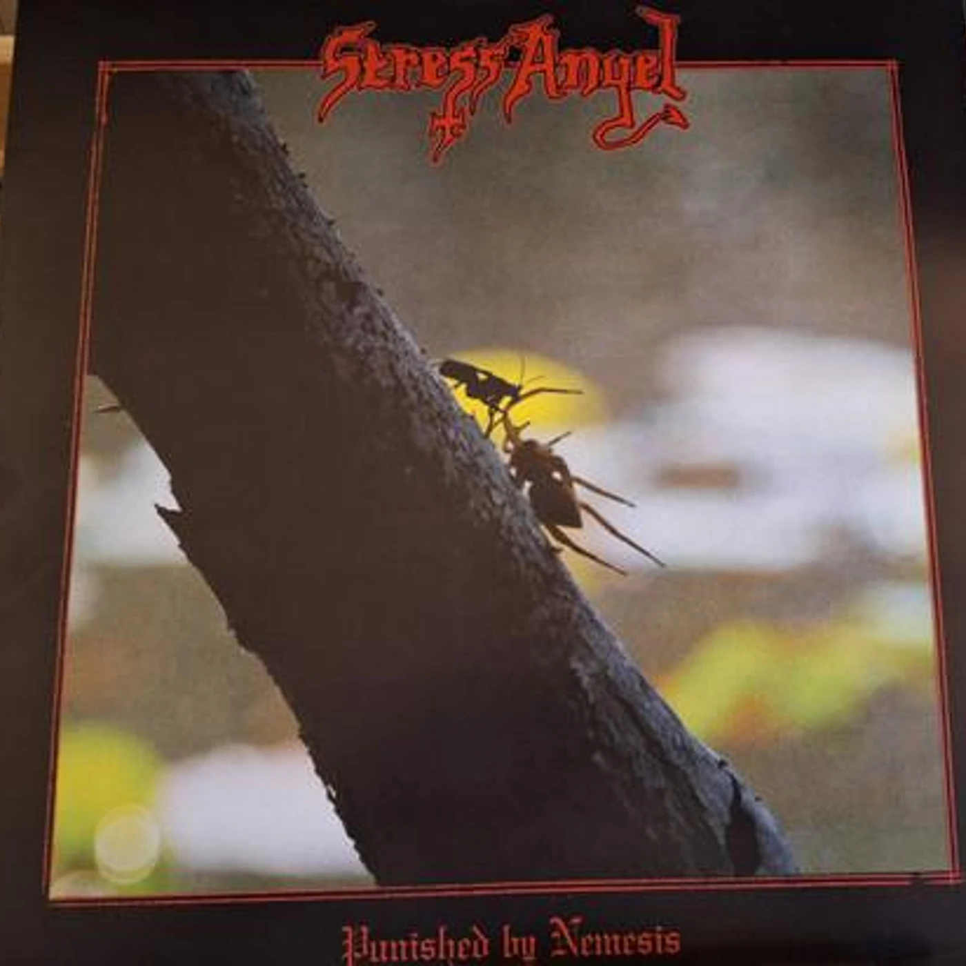 Stress Angel PUNISHED BY NEMESIS Vinyl Record