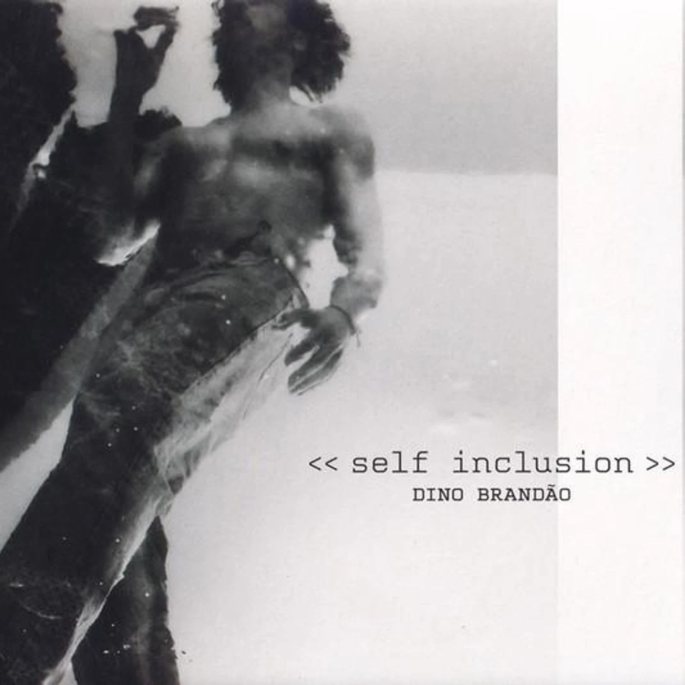 Dino Brandão SELF-INCLUSION CD