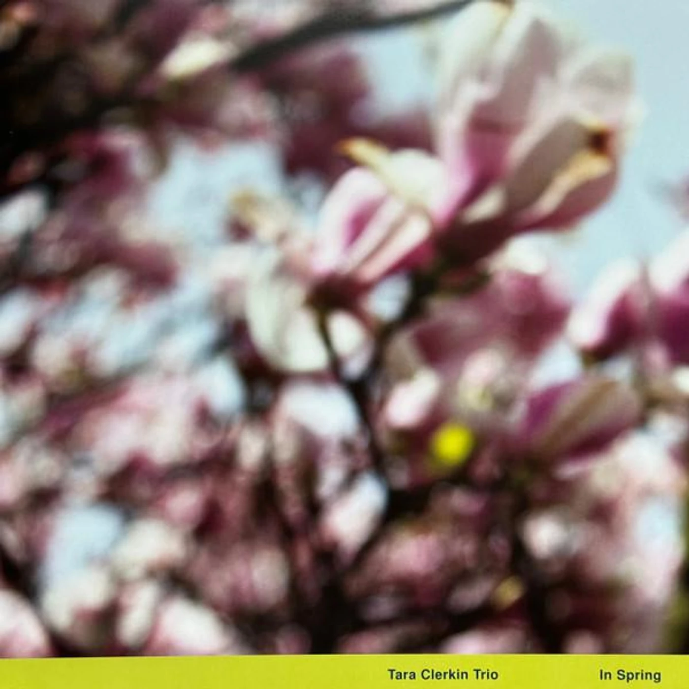 Tara Clerkin Trio In Spring Vinyl Record