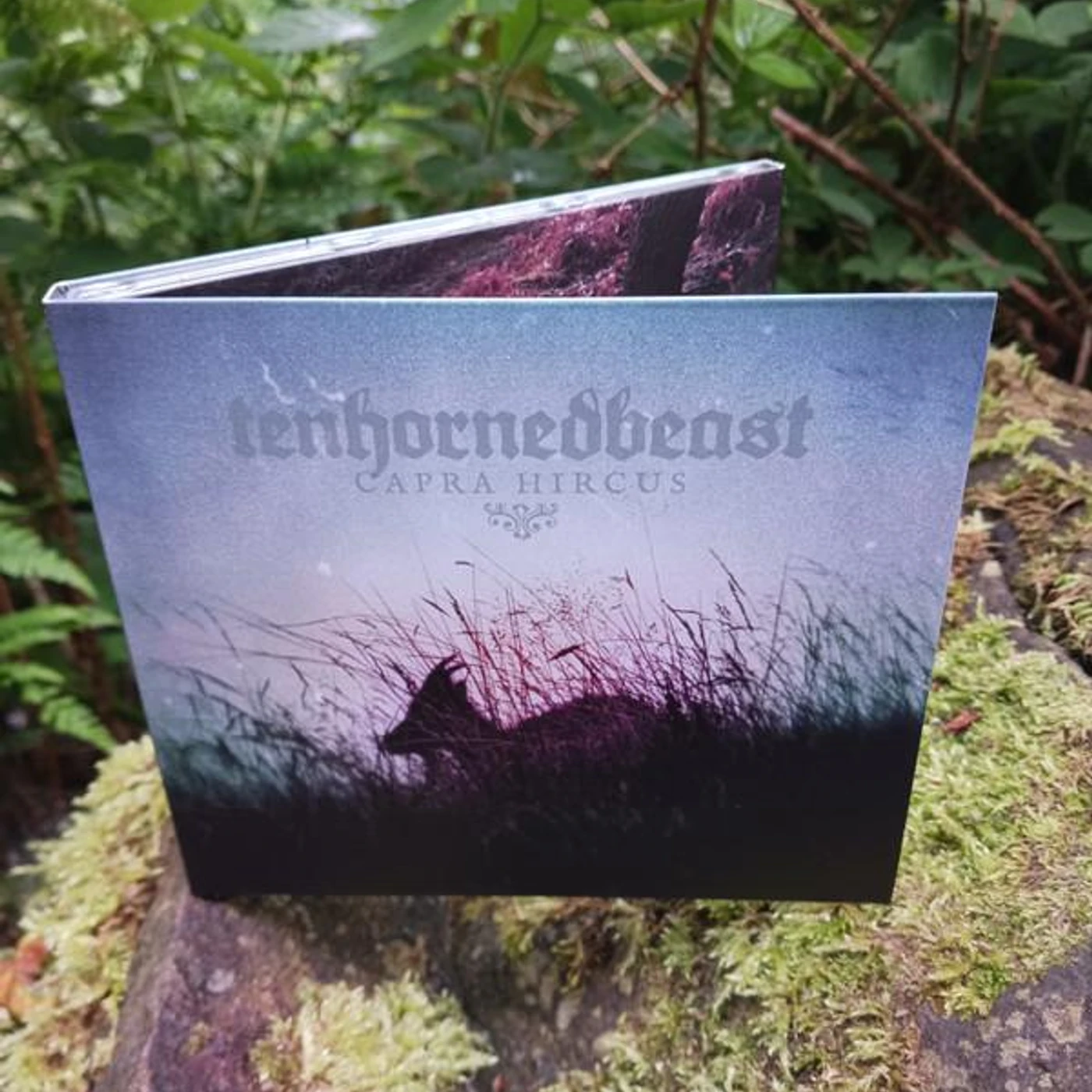 TenHornedBeast CAPRA HIRCUS CD