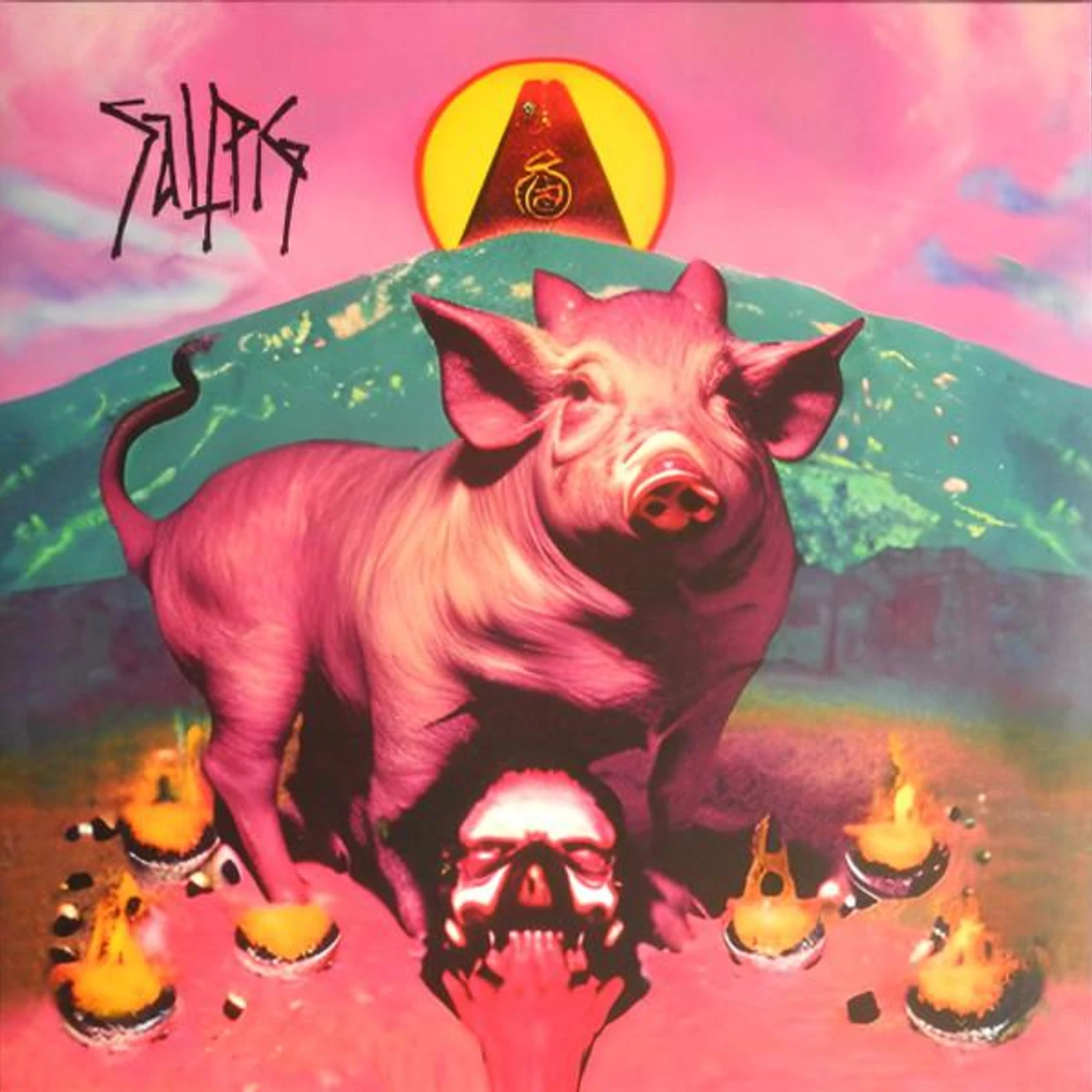 SALTPIG Vinyl Record