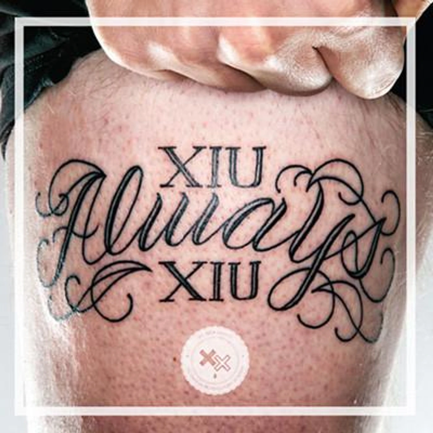 Xiu Xiu Always Vinyl Record