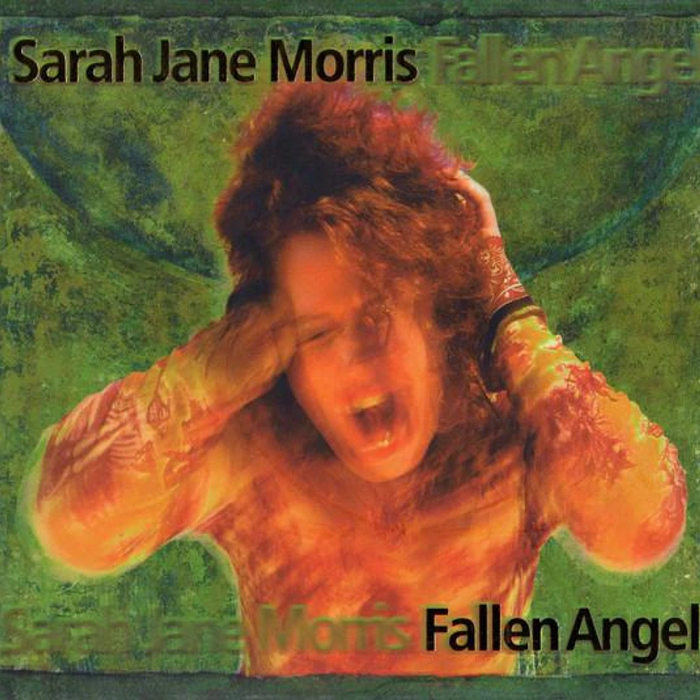 Sarah Jane Morris FALLEN ANGEL CD