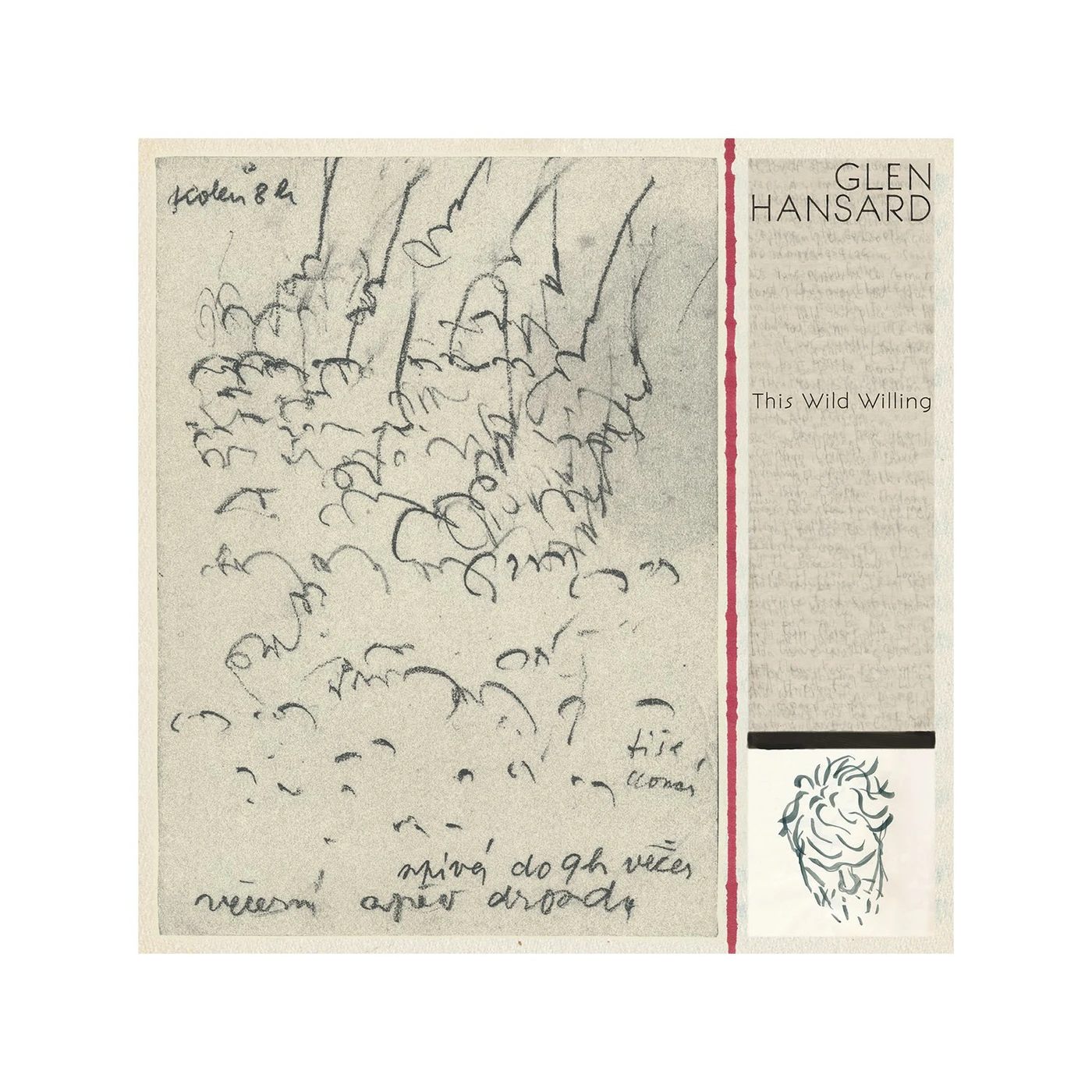 Glen Hansard This Wild Willing CD